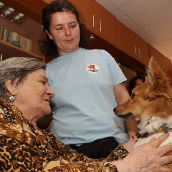 4 ani de la lansarea proiectului de terapie asistată de animale
