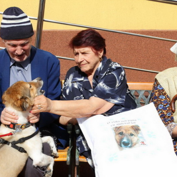 4 ani de la lansarea proiectului de terapie asistată de animale